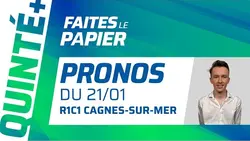 PRONOSTICS QUINTÉ+ DU 21 JANVIER À CAGNES-SUR-MER : IBISCUS MAN VA ENCORE TOUT DONNER