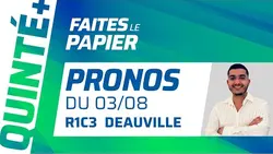 PRONOSTICS QUINTÉ+ DU DIMANCHE 3 AOÛT : TIMES WARRIOR À L'HEURE NORMANDE