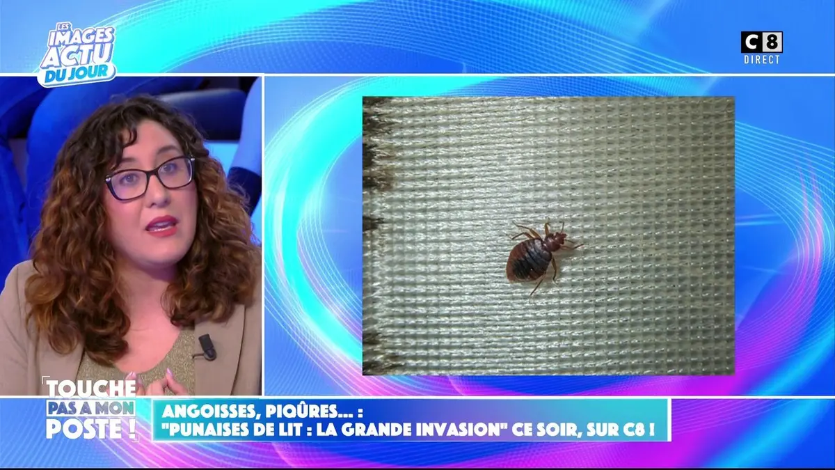 replay de Punaises de lit : le témoignage d'une porte-parole qui lutte contre les punaises de lit à Marseille