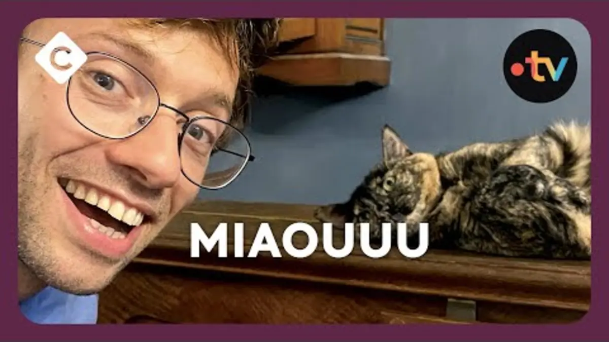 replay de Qu’est-ce qu’on fait ? - Jibé et Lucien en coulisses