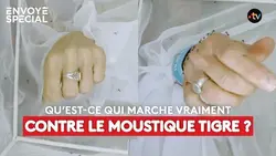 Qu’est ce qui marche vraiment contre le moustique tigre ?