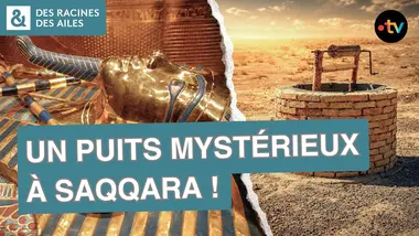 Que cachait ce puits de Saqqara ? | Documentaire | France TV