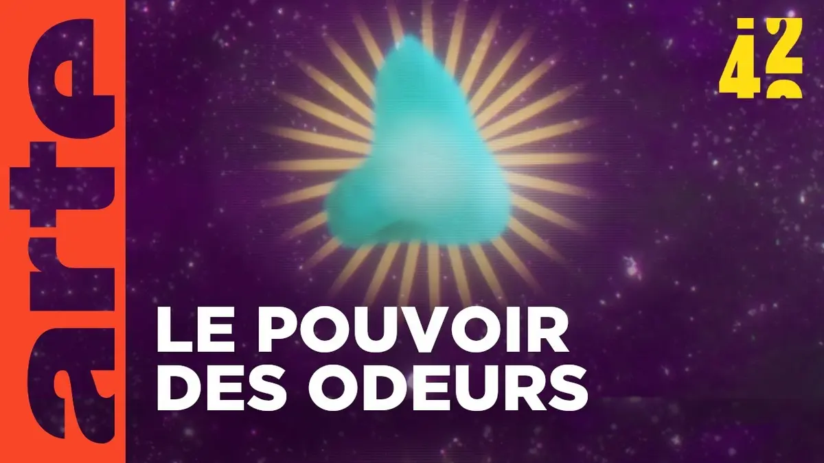 replay de Que nous transmettent les odeurs ? | 42 - La réponse à presque tout | ARTE