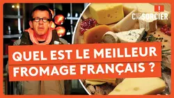 Quel est le meilleure fromage français ? - C'est pas sorcier