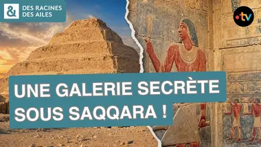 Quelles découvertes ont été faites à Saqqara ? | Documentaire | France TV
