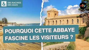 Quels secrets cache la Vendée oubliée ? | Documentaire | France TV