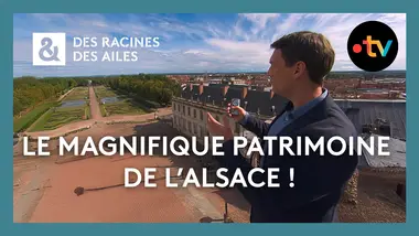 Quels trésors découvrir en Alsace et en Lorraine ? - Des racines et des ailes