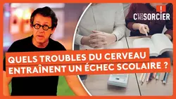 Quels troubles du cerveau entraînent un échec scolaire ? - C'est pas sorcier