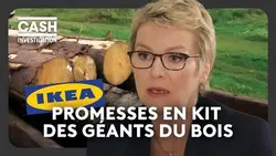 Razzia sur le bois, les promesses en kit des géants du meuble- Cash investigation