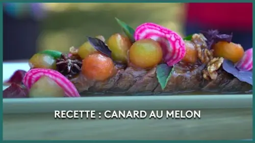 replay de Recette du canard au melon - Les Potagers de Julie