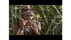 Récolter du miel avec les Samburu
