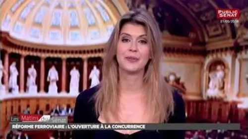 replay de Réforme ferroviaire: suite et fin - Les matins du Sénat (05/06/2018)