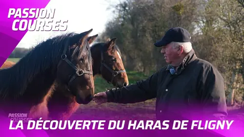 replay de REPORTAGE - À LA DÉCOUVERTE DU HARAS DE FLIGNY