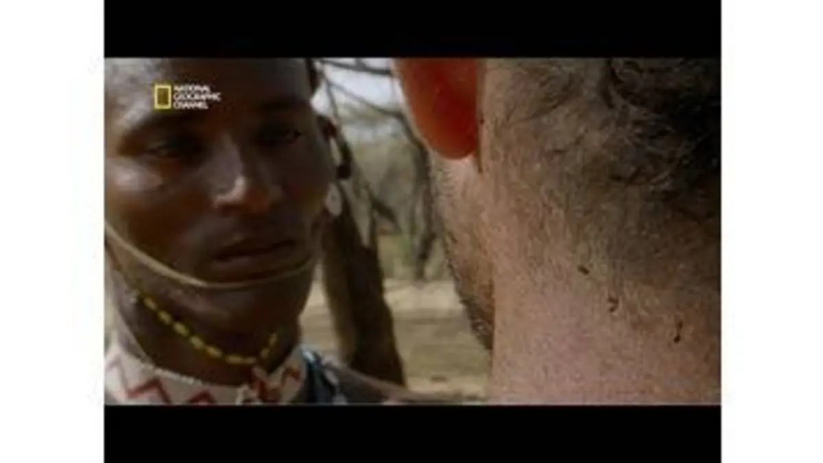 replay de Résister aux piqûres de fourmis rouges