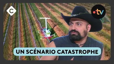 Retour du froid : l’inquiétude des agriculteurs