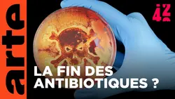 Risquons-nous une explosion de superbactéries ? | 42 - La réponse à presque tout | ARTE