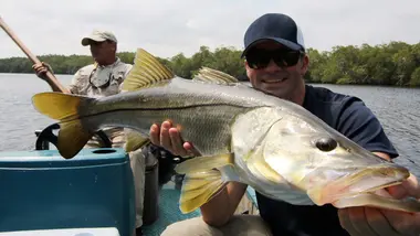 S1E10 - L'implacable barracuda