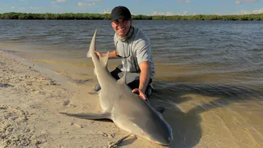 S1E11 - Morsures toxiques de requins