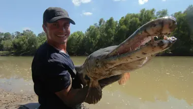 S1E8 - Alligator préhistorique