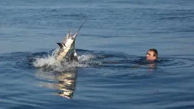 S1E9 - Combat à mains nues