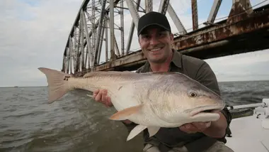 S2E5 - Morsures atroces