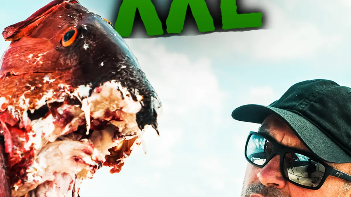 S2E6 - Violent combattant