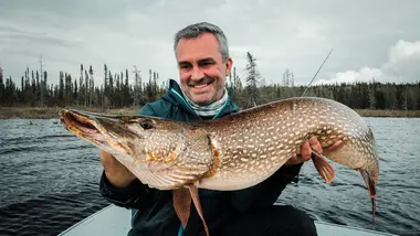 S5E2 - Barracuda en furie