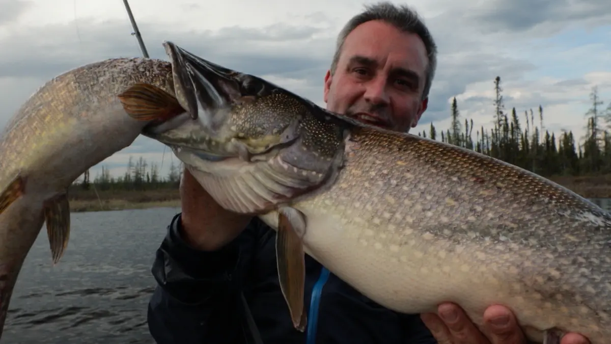 S5E3 - Tueur de piranhas