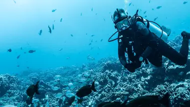 S5E6 - Encerclé par les requins
