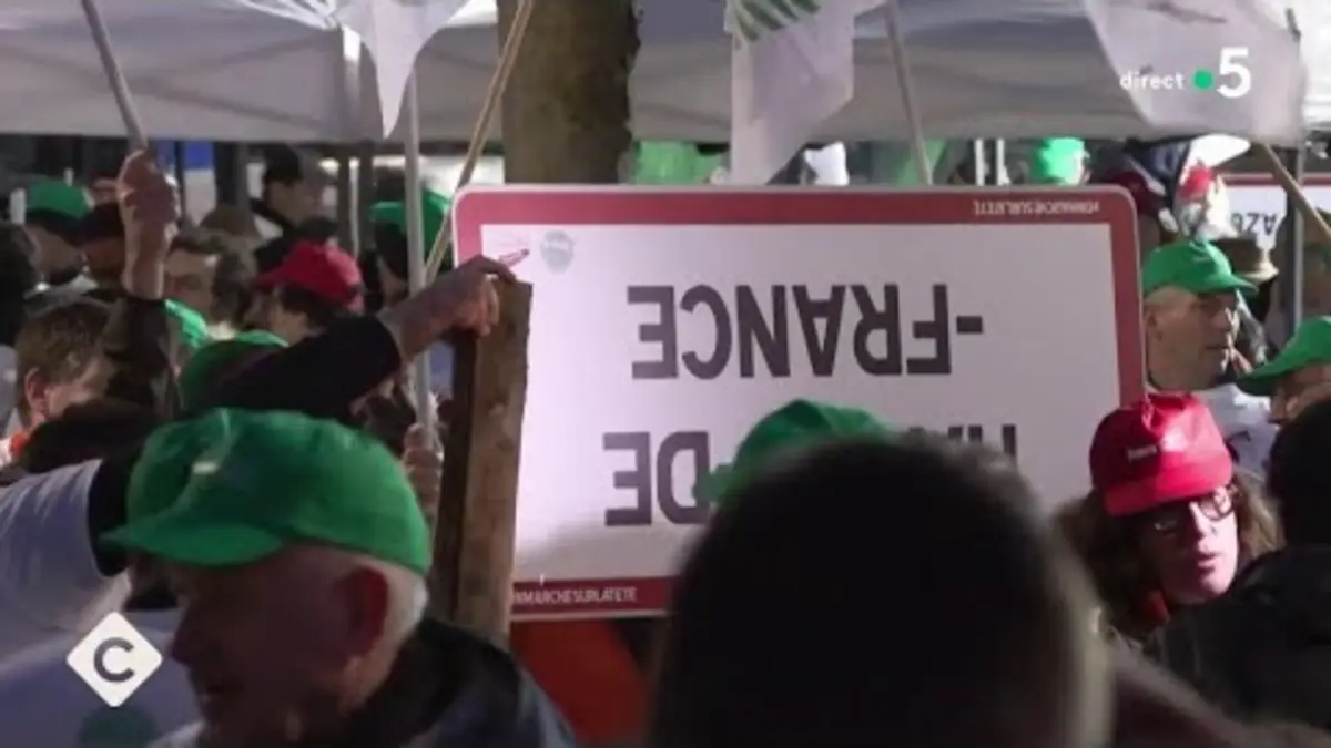 replay de Salon de l’agriculture : un champ de bataille électorale ? - C à vous - 26/02/2024