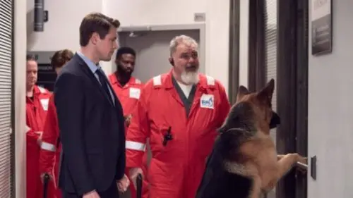 Hudson et Rex S02E17 Sans contrefaçon