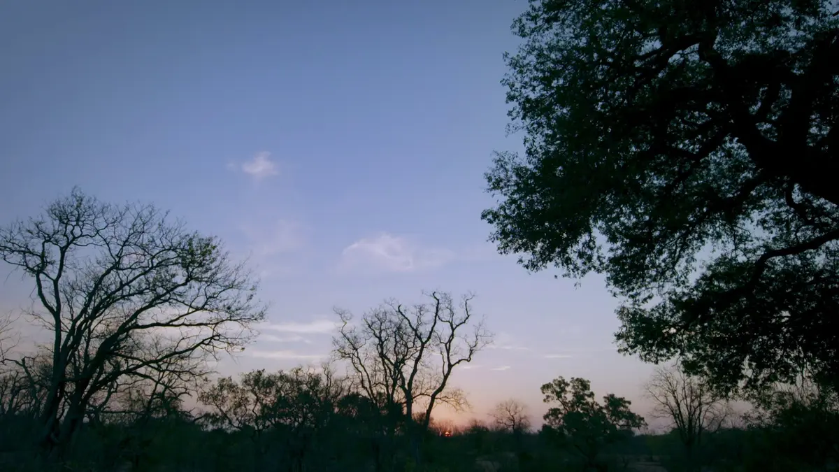 replay de Sarah Graham : food safari : S2 E13