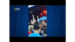 Science of stupid - Le slam parfait