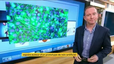 Sciences et environnement