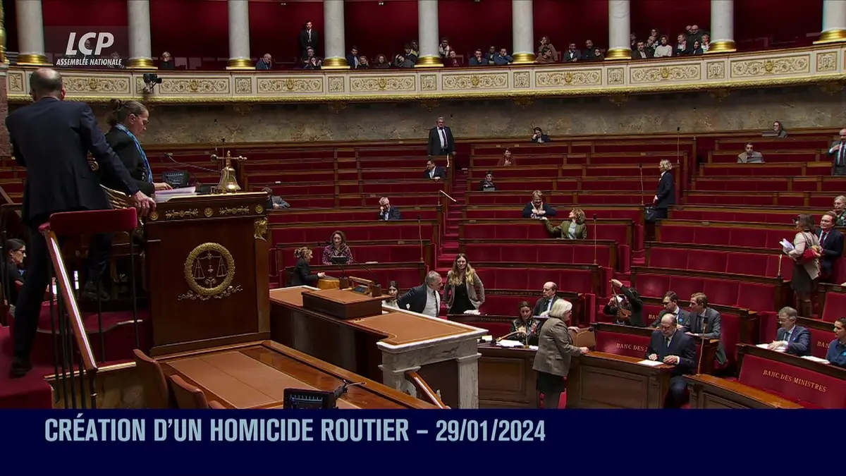replay de Séance publique à l'Assemblée nationale - Création d'un homicide routier : la proposition de loi examinée en séance publique - 29/01/2024