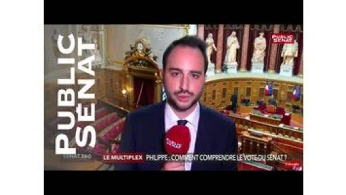 replay de Sénat 360 (13/06/2019)