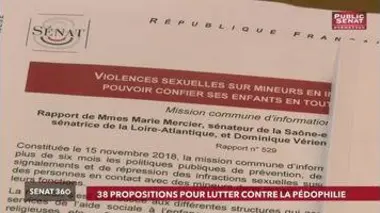 Sénat 360 (29/05/2019)