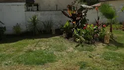 Silence, ça pousse !