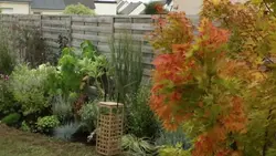 Silence, ça pousse !