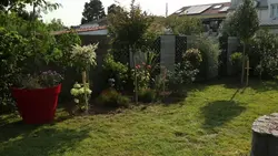 Silence, ça pousse !