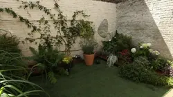 Silence, ça pousse !