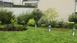 Silence, ça pousse !