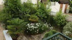 Silence, ça pousse !