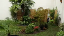 Silence, ça pousse !