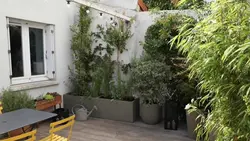 Silence, ça pousse !