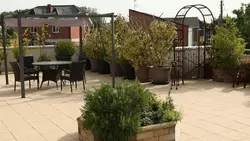 Silence, ça pousse !