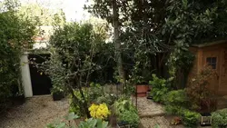 Silence, ça pousse !