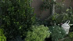 Silence, ça pousse !