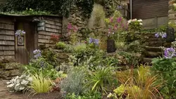 Silence, ça pousse !