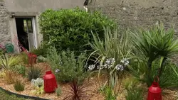 Silence, ça pousse !